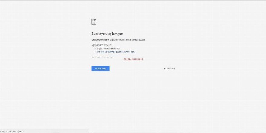 Türk Hacker Grubu ABD’nin DNS Sunucularını Hedef Aldı