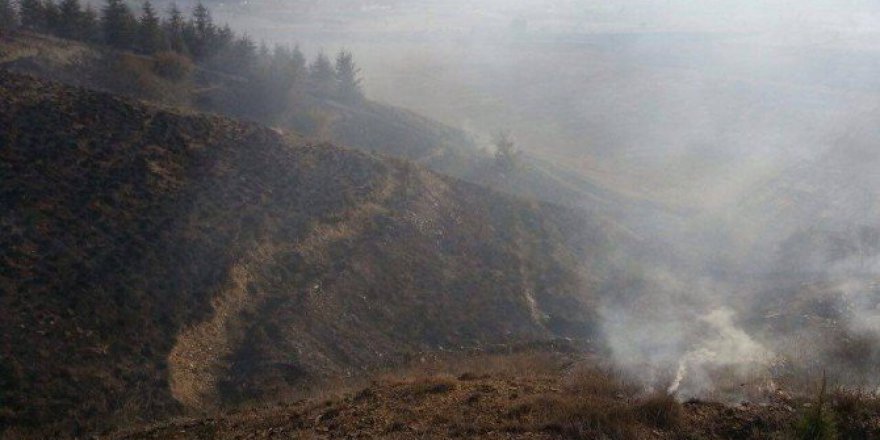 Bilecik, Bozüyük'te Anız Yakarken 8 Bin Fidanı Kül Ettiler