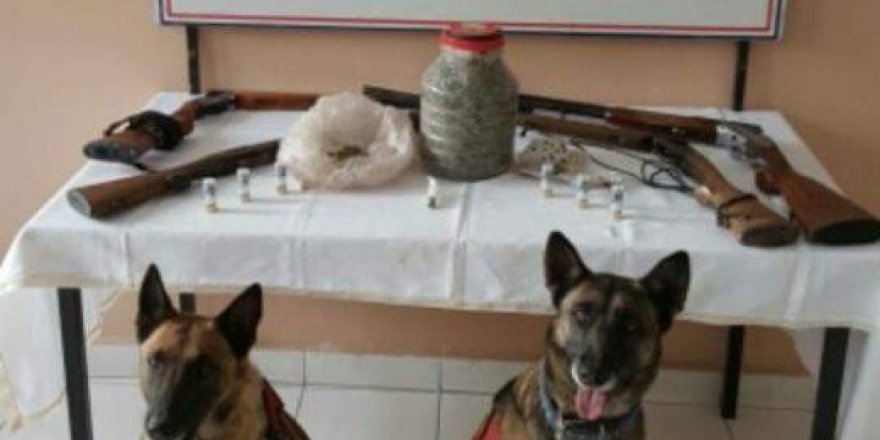 Yozgat İl Jandarma Komutanlığı'ndan Uyuşturucu Operasyonu