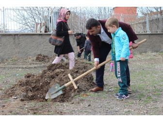 Elazığ’da Öğrenciler, Fidan Dikti