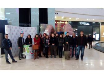 ‘Kocaciğer’ Adlı Maket İlgi Odağı Oldu