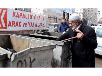 Bastonuyla Çöpte Yiyecek Arayan Yaşlı Adam Yürek Burktu