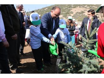 Bereket Ormanı’na 5 Bin Fidan