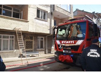 Fatsa’da Korkutan Yangın