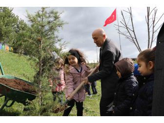 Minik Öğrenciler Kampüse Fidan Dikti