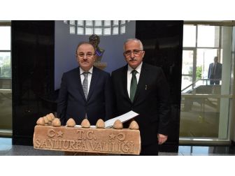 İçişleri Bakan Yardımcısı Öztürk: “Şanlıurfa’da Ciddi Manada Teröre Karşı Bir Duruş Var”