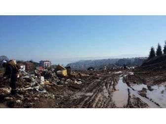 Akçakoca’da Sivrisinekle Mücadele Çalışması Başladı