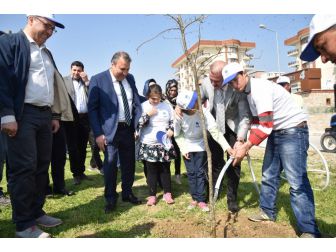 Özel Öğrenciler Hatıra Ormanı Oluşturdu
