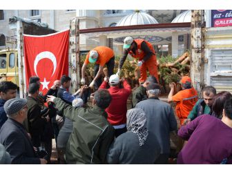 Korkuteli İlçesinde Ücretsiz Fidan Dağıtıldı