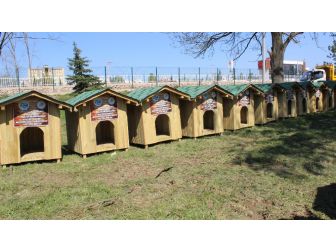 Tapulu Köpek Evleri Teslim Edildi