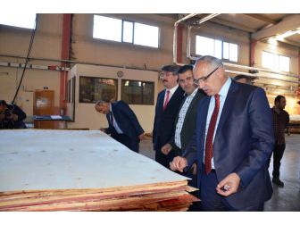 ‘Çalışma Hayatında Milli Seferberlik’ Programı