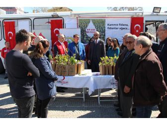 "Bir Kan Bir Fidan Projesi" Fidan Dağıtımı