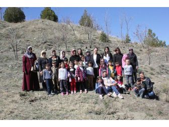 Sungurlu’da Minik Öğrenciler Fidan Dikti