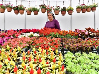 Çiçeğin Başkenti Bayındır'da "Çiçek Festivali"