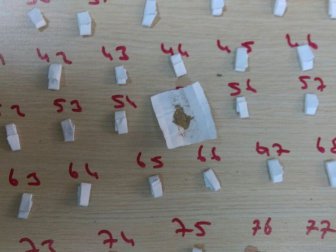 Bitlis’te Eş Zamanlı Uyuşturucu Operasyonu: 9 Gözaltı