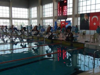 TSSF Paletli Yüzme Bireysel Türkiye Şampiyonası