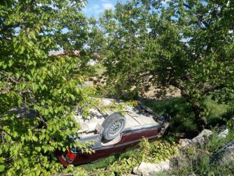 Malatya, Seyir Halindeki Otomobil Kayısı Bahçesine Uçtu: 1 Yaralı