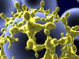 Hematolojik Hastalıklarda yeni yöntem