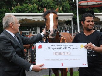 Atlar Bu Kez Güzellik İçin Piste Çıktı