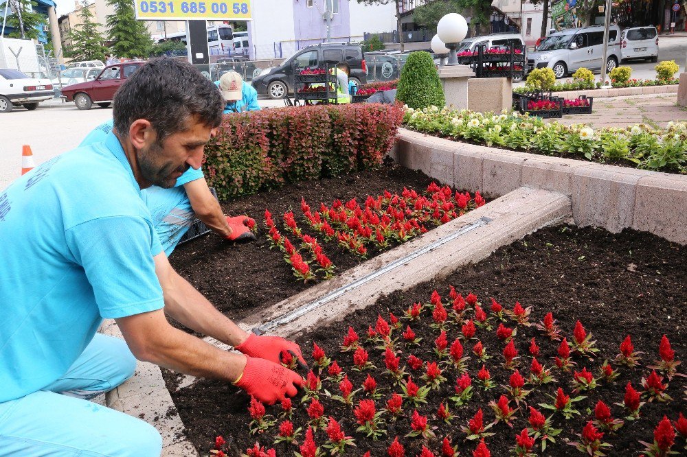 Çankırı Sokakları böyle renklendi