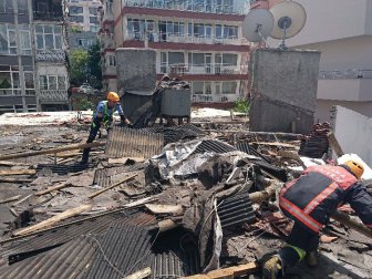 Kore İzin Verdi, 5 Yavru Kedi Kurtarıldı