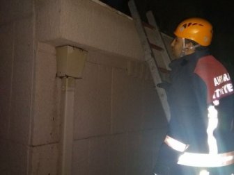 Başkent İtfaiyesi yaralı kediye sahip çıktı