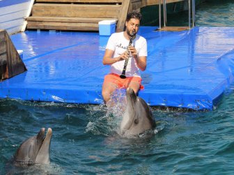 Bodrum'da Yunuslar Klarnet Eşliğinde Dans Edip Ritim Tuttu