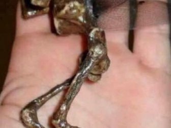Uzay Bilimini Karıştıran 'Fairy Ailen' Maket Çıktı