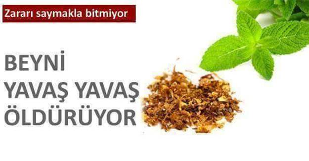 Beyni ele geçirip bitiriyormuş Sofranızdan uzak tutunuz
