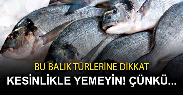 Ucuz Diye Bu balık türlerinden sakın yemeyin Etkisi aylar sürüyor