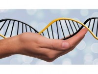Dna Robotlarının Kontrolü İçin Yeni Sistem Geliştirildi