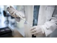 Türk Doktorların Bilimsel Çalışmasına Abd'den Ödül