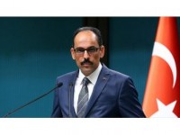 Cumhurbaşkanlığı Sözcüsü Kalın: Hayvana Şiddet Suçtur Ve Cezasız Kalmayacak