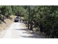 Tunceli'de Eylem Hazırlığındaki 10 Terörist Etkisiz Hale Getirildi