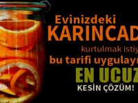 Evinizdeki karıncaları, Böcekleri,Sivri sinekleri yok eden Pratik yöntem...