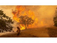 California'daki Yangınlar Kontrol Altına Alınamıyor