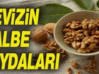 Cevizi Eğer böyle tüketirseniz ; Cevizin Bu Faydası Sizi Şaşırtacak!