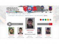 Gri Listede Aranan Pkk'lı Terörist Etkisiz Hale Getirildi