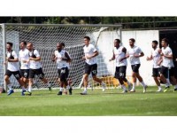 Beşiktaş, Partizan Maçına Hazır