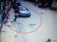 Ordu'da Bir Kişi Yol Kenarındaki Köpeği Odunla Yaraladı