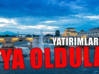 Krizi fırsata çevirerek o ülkeye yatırıma koşuyorlar