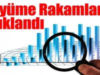Büyüme Rakamları Açıklandı : Rakamlar Kıskandıracak