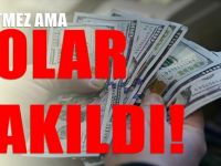 Dolar son 2 haftanın en düşük seviyesini gördü