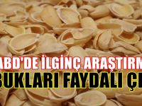 Antep Fıstığının kabuklarıyla ilgili sıradışı araştırma : Resmen kanıtladılar