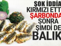 Sofrada kırmızı alarm: Kırmızı ette şarbon, balıkta ise daha da tehlikelisi çıktı