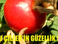Kendi küçük mucizesi büyük!