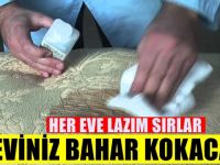 Evdeki Tüm kötü Kokulara Bir Çözüm Var! Dolap,oda,banyo,çöp,yemek