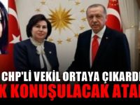 Danıştay Başkanı'nın kızı Saray'a atandı!