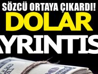 Albayrak'ın Açıklamasındaki Dolar ayrıntısı