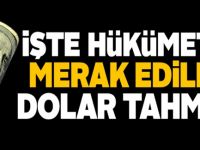 İşte hükümetin dolar tahmini